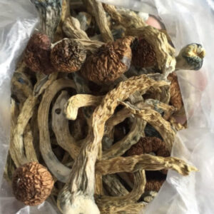 Golden teacher