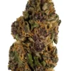 Forbidden Fruit Strain