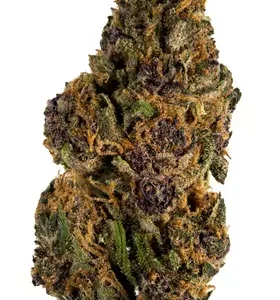 Forbidden Fruit Strain