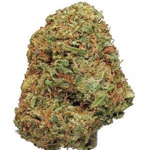 Northern Lights Strain
