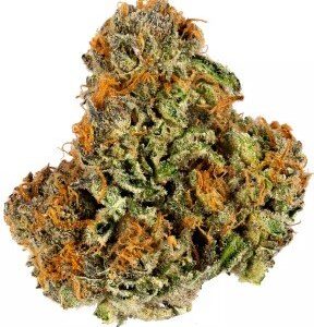 Pineapple Express Strain