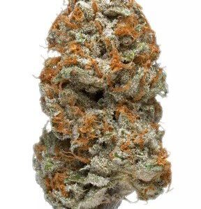 Purple Kush