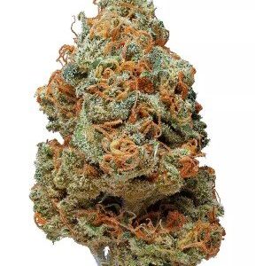 Vanilla Kush