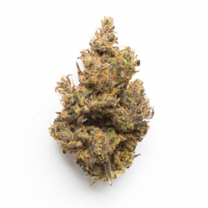 Orangeade Strain